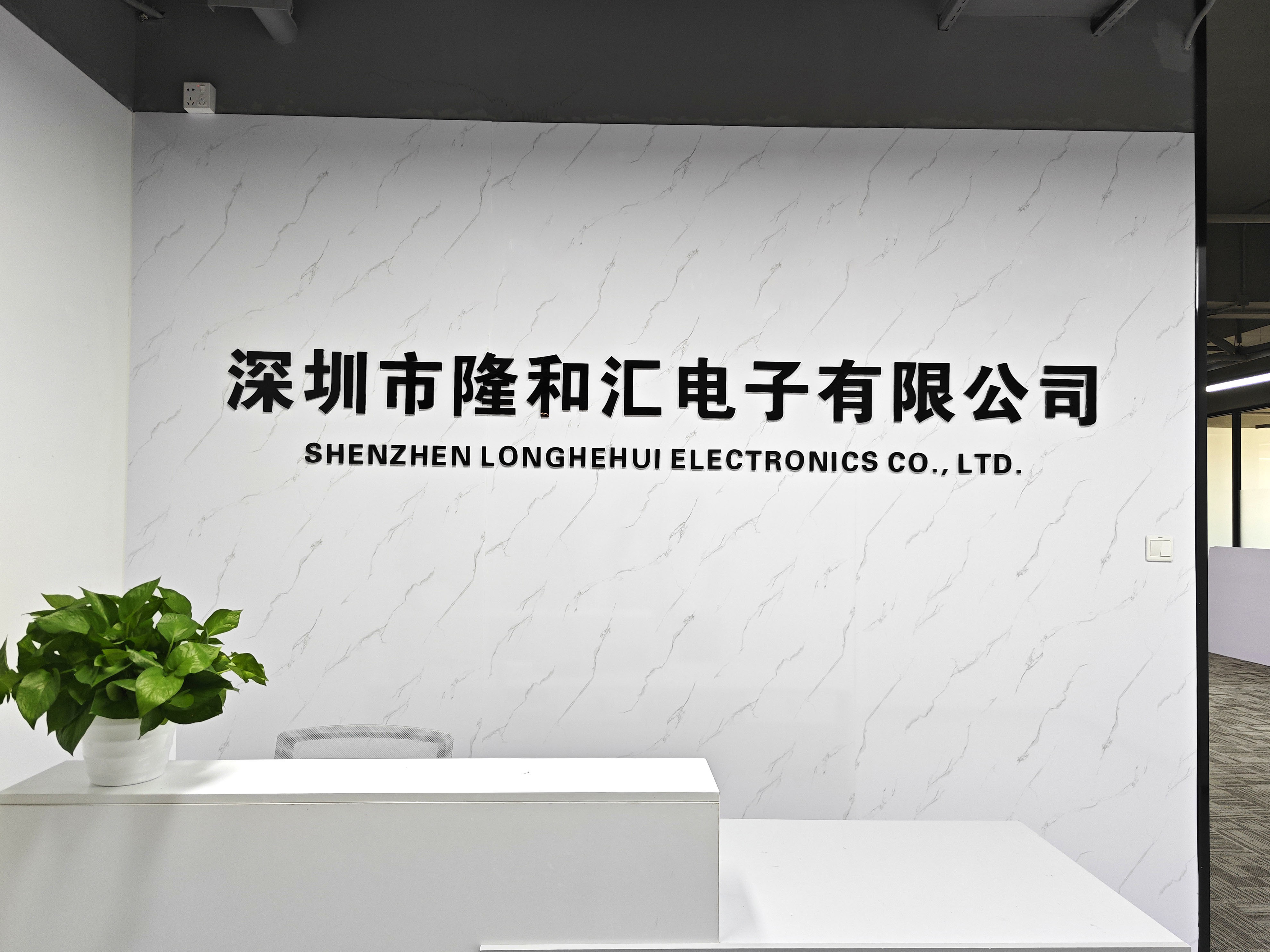 Porcellana Shenzhen Longhehui Electronic Co., Limited Profilo aziendale